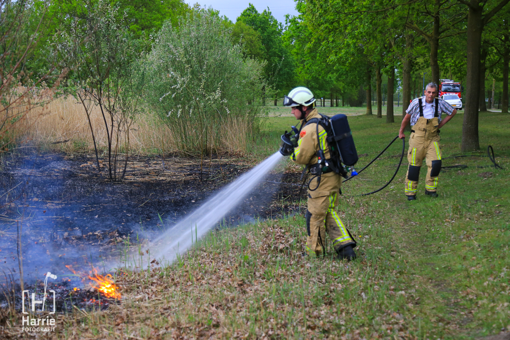 Rietbrand Helmond_4354.jpg